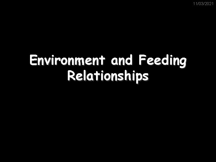 11/03/2021 Environment and Feeding Relationships 