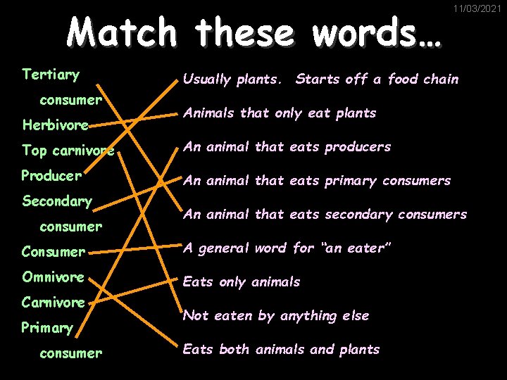 Match these words… Tertiary consumer Herbivore Usually plants. Starts off a food chain Animals