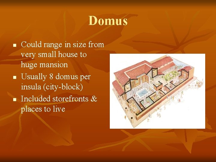 Domus n n n Could range in size from very small house to huge