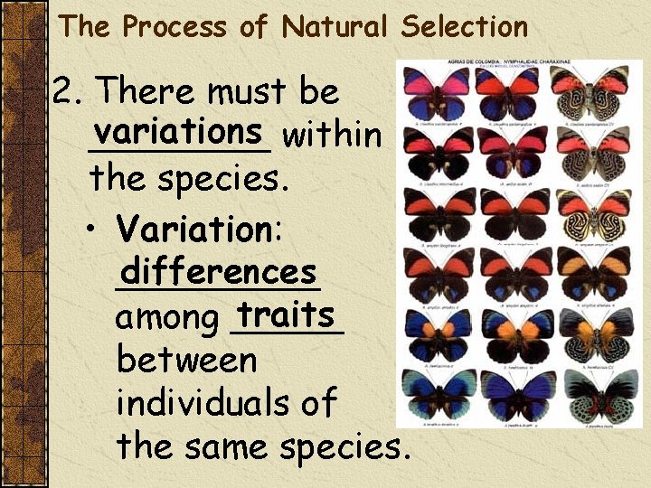 The Process of Natural Selection 2. There must be variations within ____ the species.