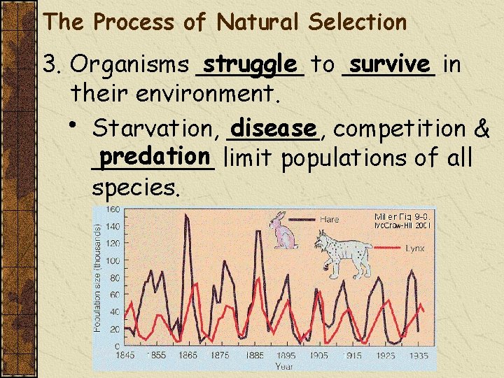 The Process of Natural Selection struggle to ______ survive in 3. Organisms _______ their