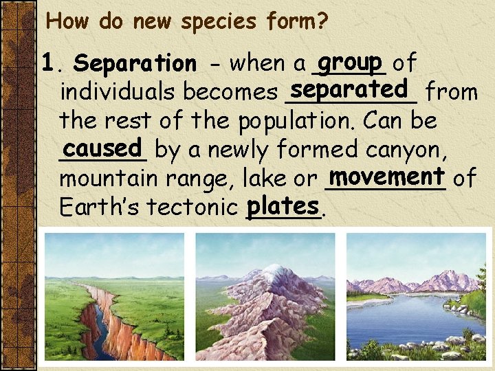 How do new species form? group of 1. Separation - when a _____ separated