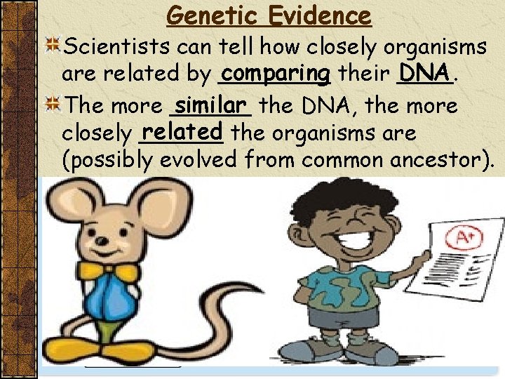 Genetic Evidence Scientists can tell how closely organisms comparing their ____. DNA are related
