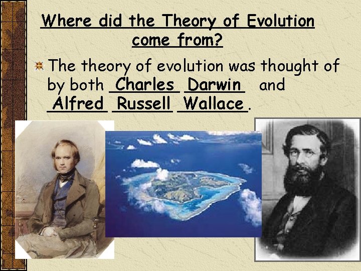 Where did the Theory of Evolution come from? The theory of evolution was thought