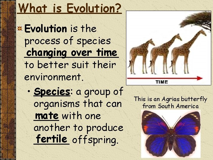 What is Evolution? Evolution is the process of species changing over time ________ to