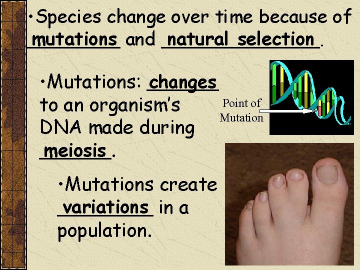  • Species change over time because of mutations and _______ natural selection. ____
