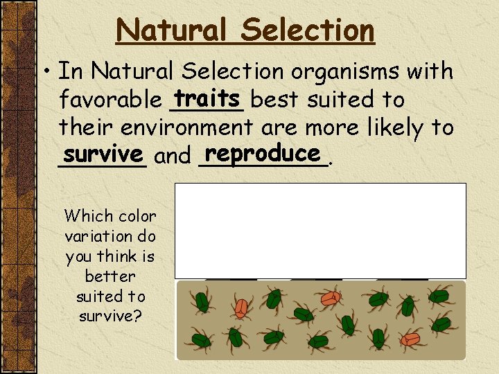 Natural Selection • In Natural Selection organisms with traits best suited to favorable _____