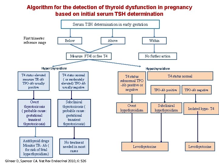 Algorithm for the detection of thyroid dysfunction in pregnancy based on initial serum TSH