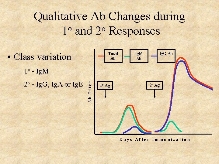 Ab formation Hallmarks of the Immune Response SelfNonself
