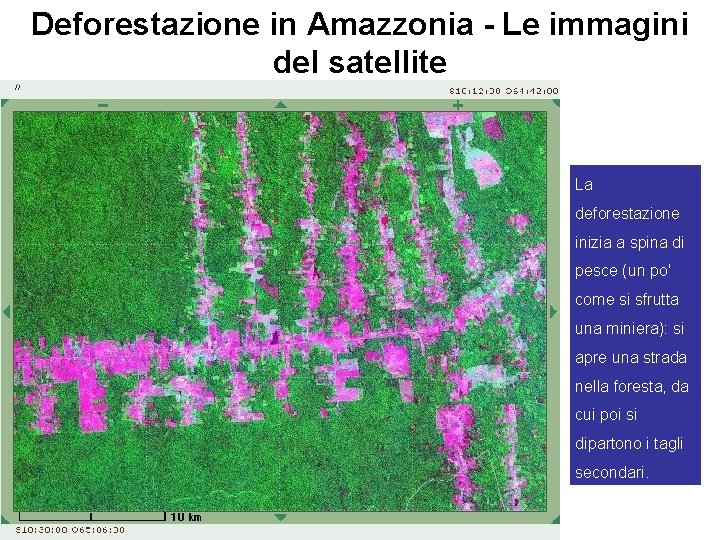 Deforestazione in Amazzonia - Le immagini del satellite La deforestazione inizia a spina di