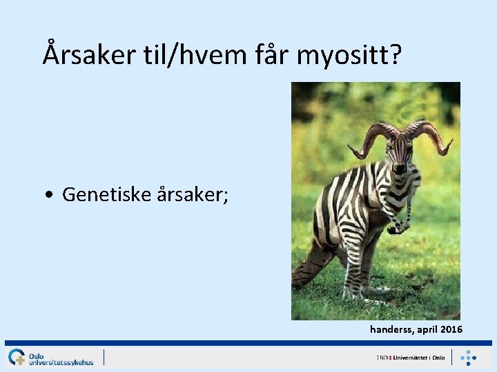 Årsaker til/hvem får myositt? • Genetiske årsaker; handerss, april 2016 