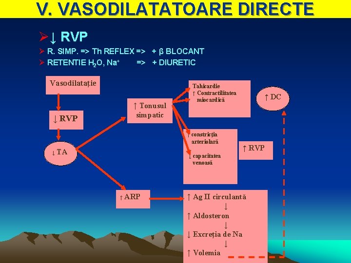 V. VASODILATATOARE DIRECTE Ø↓ RVP Ø R. SIMP. => Th REFLEX => + β