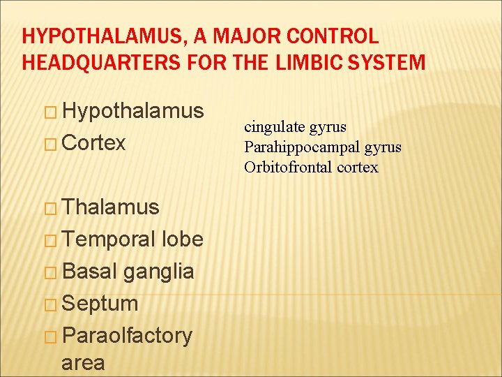 HYPOTHALAMUS, A MAJOR CONTROL HEADQUARTERS FOR THE LIMBIC SYSTEM � Hypothalamus � Cortex �