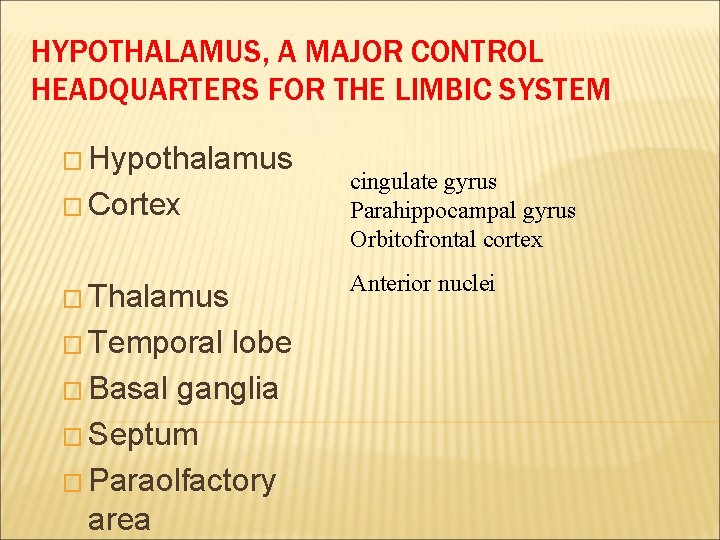 HYPOTHALAMUS, A MAJOR CONTROL HEADQUARTERS FOR THE LIMBIC SYSTEM � Hypothalamus � Cortex �