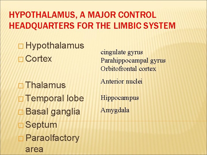 HYPOTHALAMUS, A MAJOR CONTROL HEADQUARTERS FOR THE LIMBIC SYSTEM � Hypothalamus � Cortex cingulate