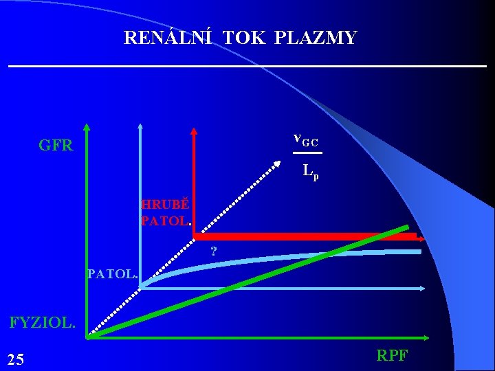 RENÁLNÍ TOK PLAZMY v. GC GFR Lp HRUBĚ PATOL. . ? PATOL. FYZIOL. 25