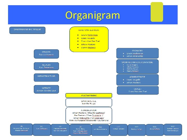 Organigram 