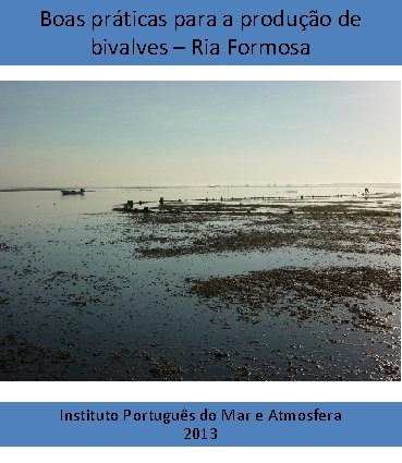Boas práticas para a produção de bivalves – Ria Formosa Instituto Português do Mar