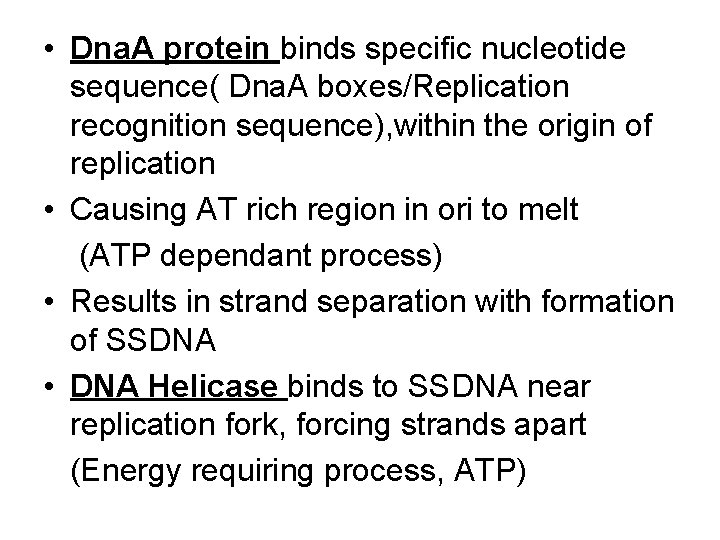  • Dna. A protein binds specific nucleotide sequence( Dna. A boxes/Replication recognition sequence),