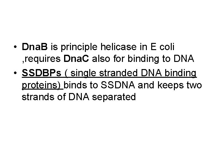  • Dna. B is principle helicase in E coli , requires Dna. C