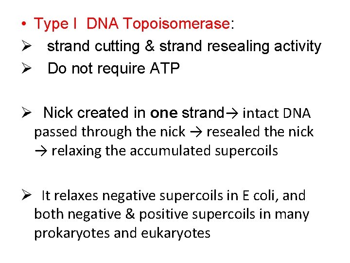  • Type I DNA Topoisomerase: Ø strand cutting & strand resealing activity Ø