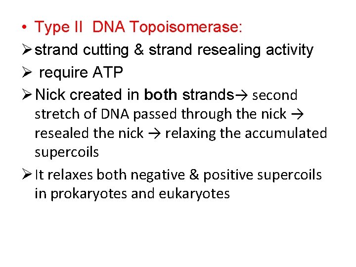  • Type II DNA Topoisomerase: Ø strand cutting & strand resealing activity Ø
