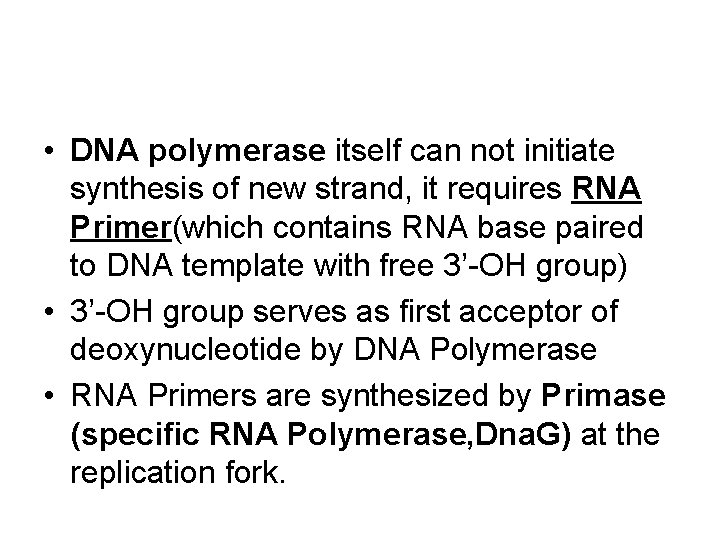  • DNA polymerase itself can not initiate synthesis of new strand, it requires