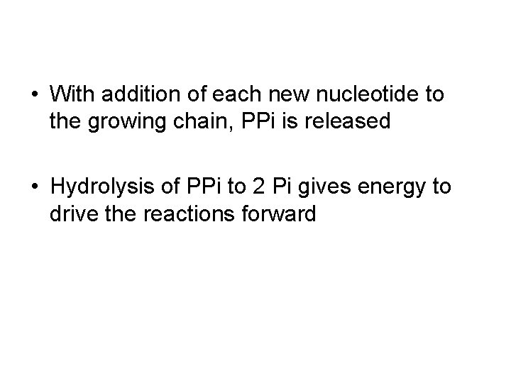  • With addition of each new nucleotide to the growing chain, PPi is