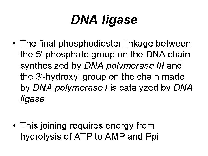 DNA ligase • The final phosphodiester linkage between the 5′-phosphate group on the DNA