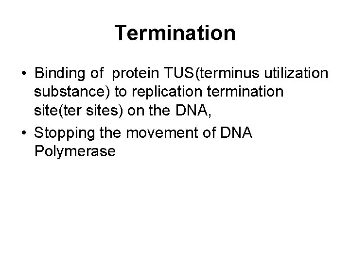Termination • Binding of protein TUS(terminus utilization substance) to replication termination site(ter sites) on