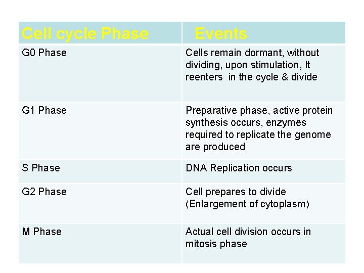 Cell cycle Phase Events G 0 Phase Cells remain dormant, without dividing, upon stimulation,