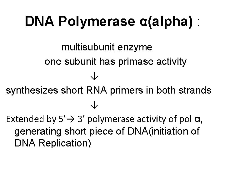 DNA Polymerase α(alpha) : multisubunit enzyme one subunit has primase activity ↓ synthesizes short