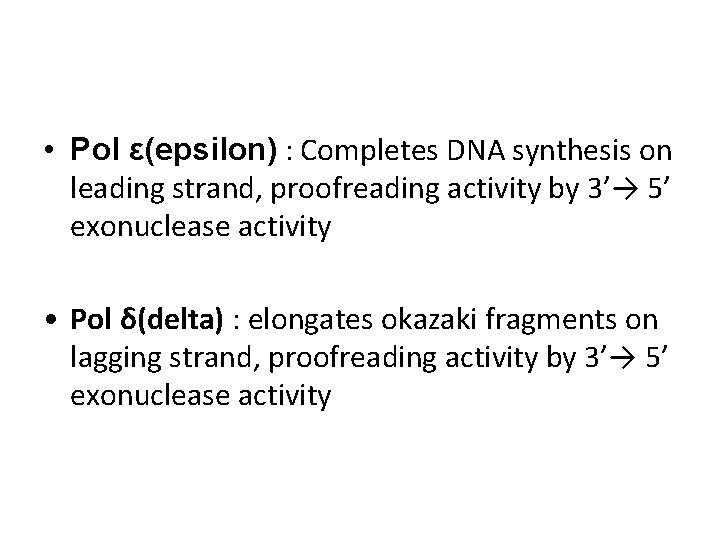  • Pol ε(epsilon) : Completes DNA synthesis on leading strand, proofreading activity by