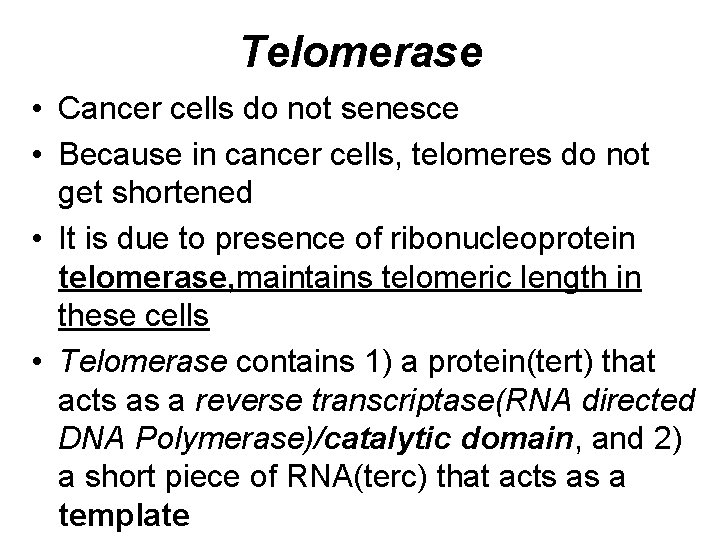 Telomerase • Cancer cells do not senesce • Because in cancer cells, telomeres do