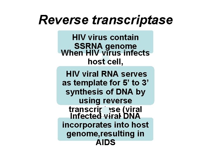 Reverse transcriptase HIV virus contain SSRNA genome When HIV virus infects host cell, HIV