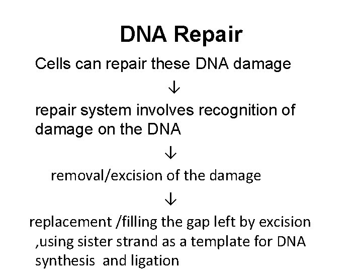DNA Repair Cells can repair these DNA damage ↓ repair system involves recognition of
