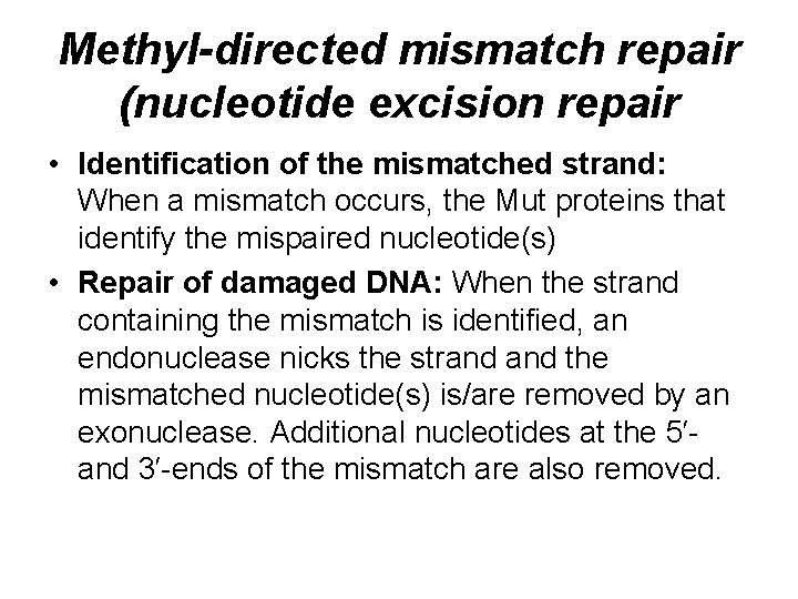 Methyl-directed mismatch repair (nucleotide excision repair • Identification of the mismatched strand: When a