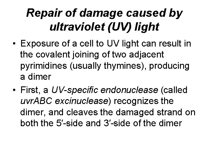 Repair of damage caused by ultraviolet (UV) light • Exposure of a cell to