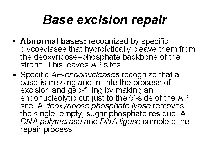 Base excision repair • Abnormal bases: recognized by specific glycosylases that hydrolytically cleave them