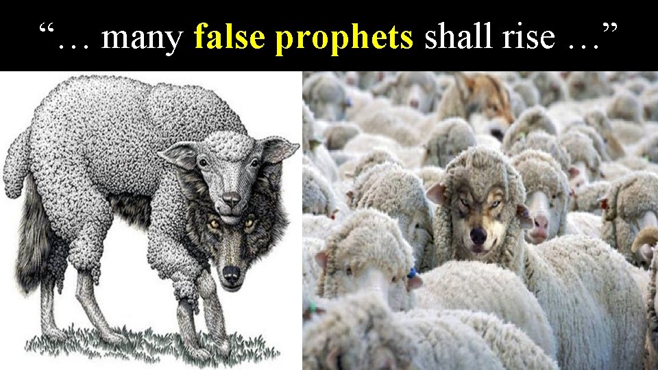 “… many false prophets shall rise …” 