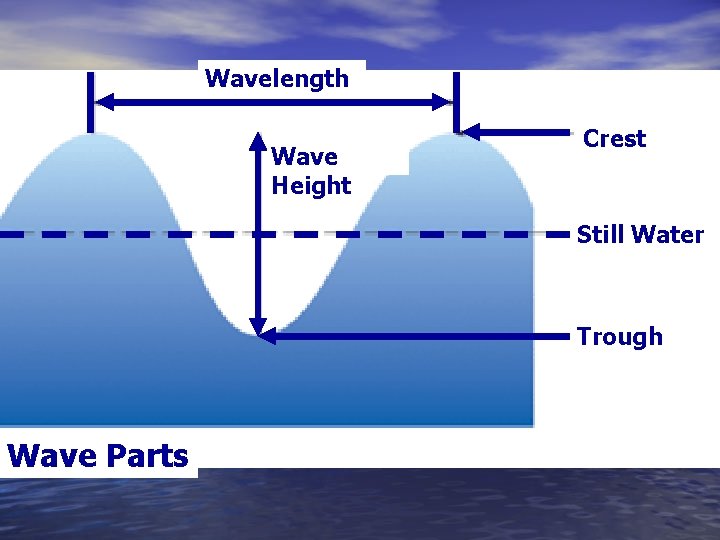 Wavelength Wave Height Crest Still Water Trough Wave Parts 