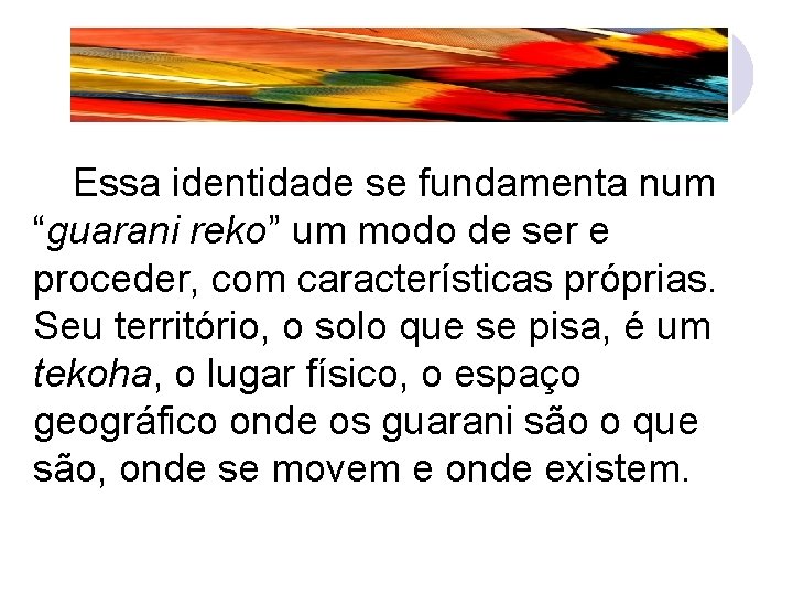 Essa identidade se fundamenta num “guarani reko” um modo de ser e proceder, com