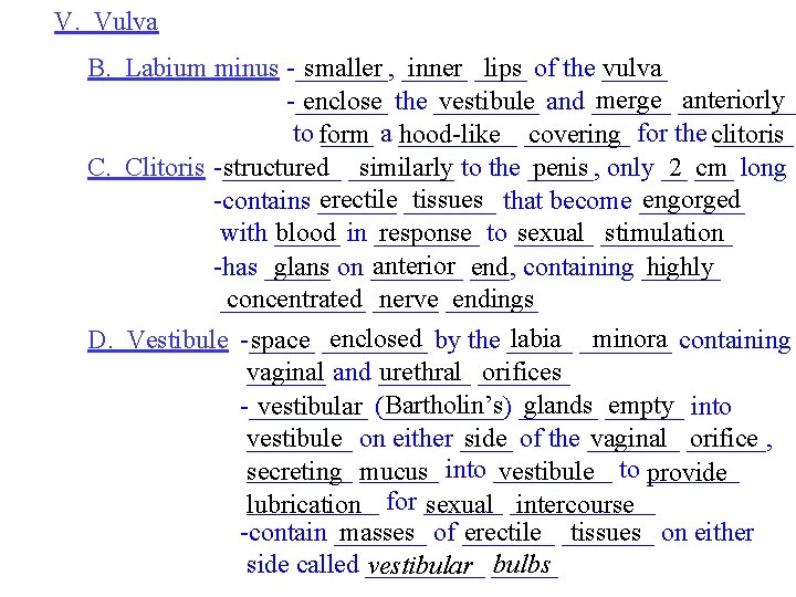 V. Vulva B. Labium minus -_______, smaller _____ inner ____ lips of the _____