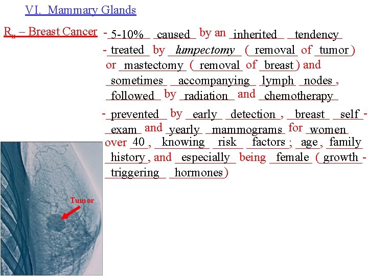 VI. Mammary Glands Rx – Breast Cancer -_______ 5 -10% _______ caused by an