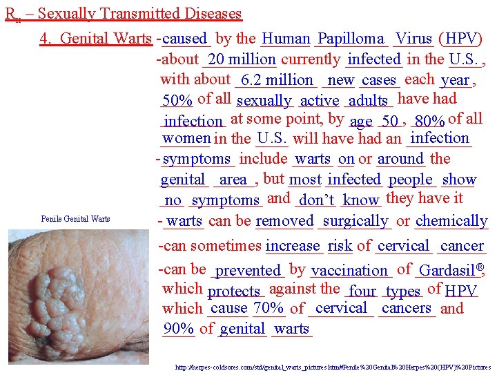 Rx – Sexually Transmitted Diseases 4. Genital Warts -______ caused by the ______ Human