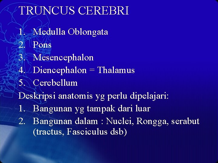 TRUNCUS CEREBRI 1. Medulla Oblongata 2. Pons 3. Mesencephalon 4. Diencephalon = Thalamus 5.