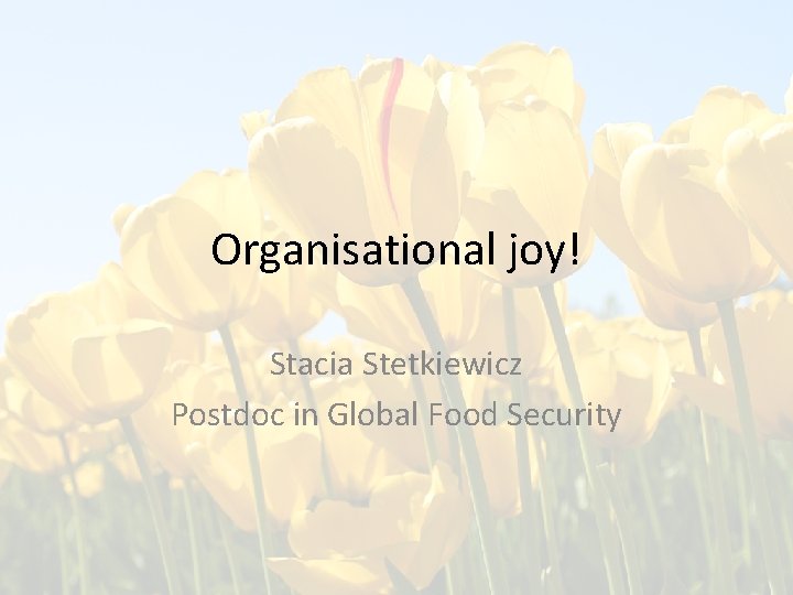 Organisational joy! Stacia Stetkiewicz Postdoc in Global Food Security 