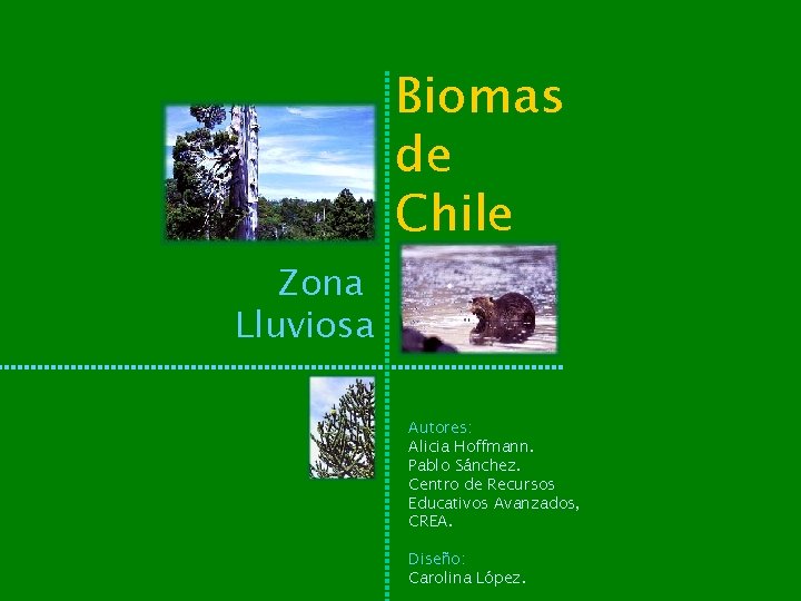 Biomas de Chile Zona Lluviosa Autores: Alicia Hoffmann. Pablo Sánchez. Centro de Recursos Educativos