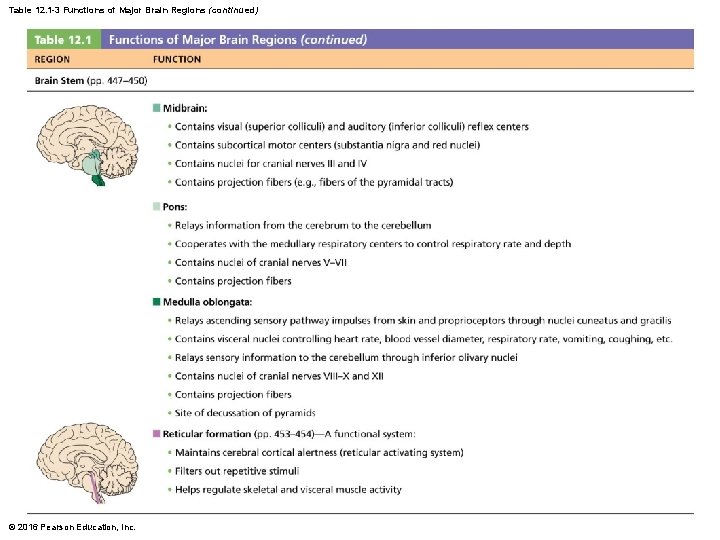Table 12. 1 -3 Functions of Major Brain Regions (continued) © 2016 Pearson Education, Table 12. 1 -3 Functions of Major Brain Regions (continued) © 2016 Pearson Education,
