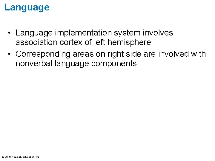 Language • Language implementation system involves association cortex of left hemisphere • Corresponding areas Language • Language implementation system involves association cortex of left hemisphere • Corresponding areas